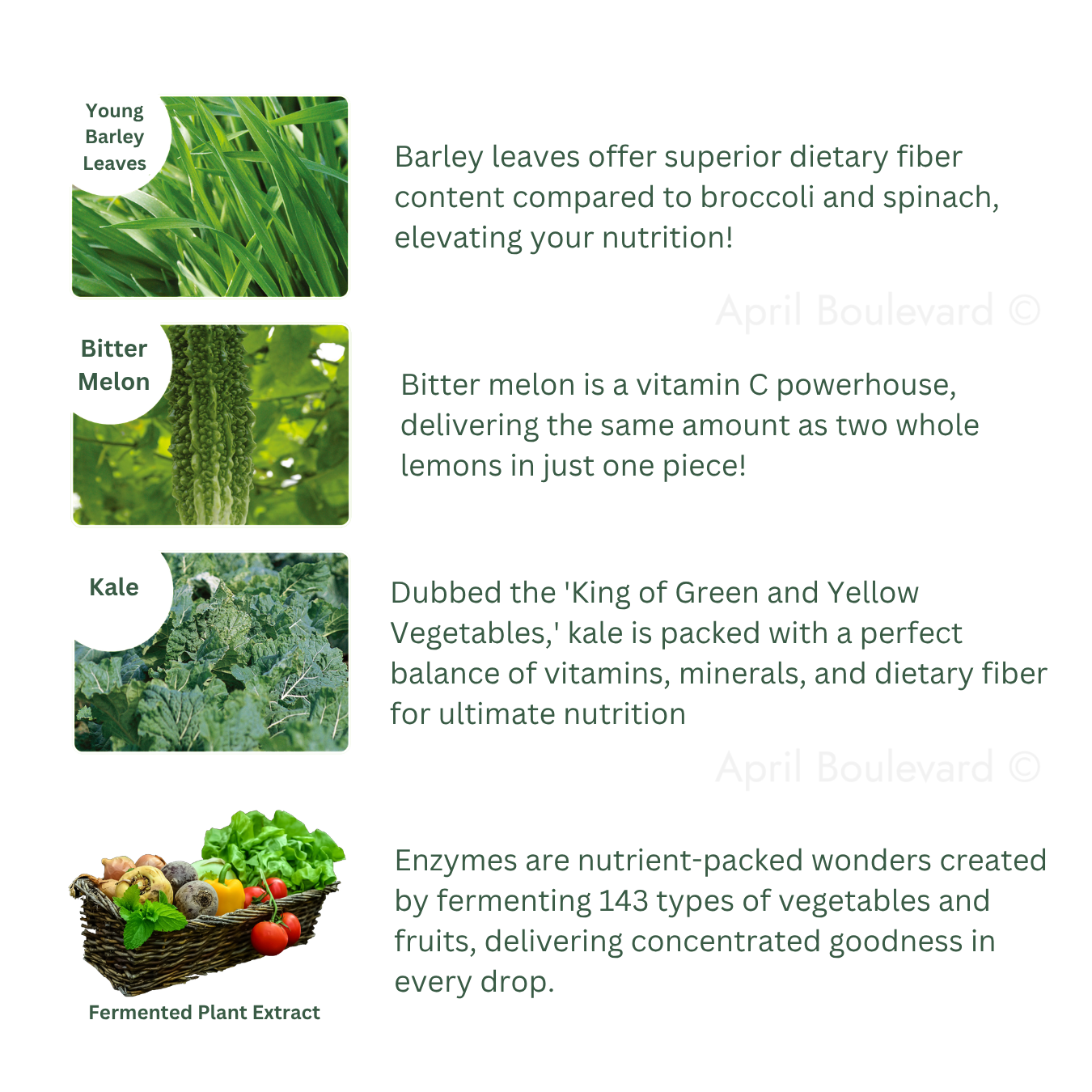 Lactic Acid Bacteria in Green Juice