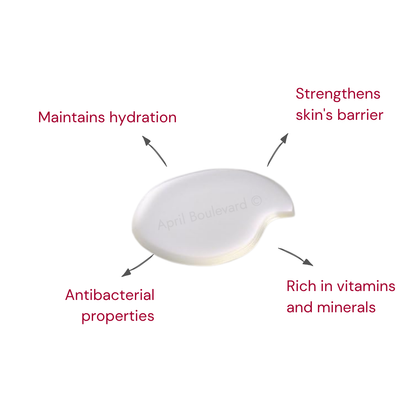 Undiluted Moisture Lotion (Water)