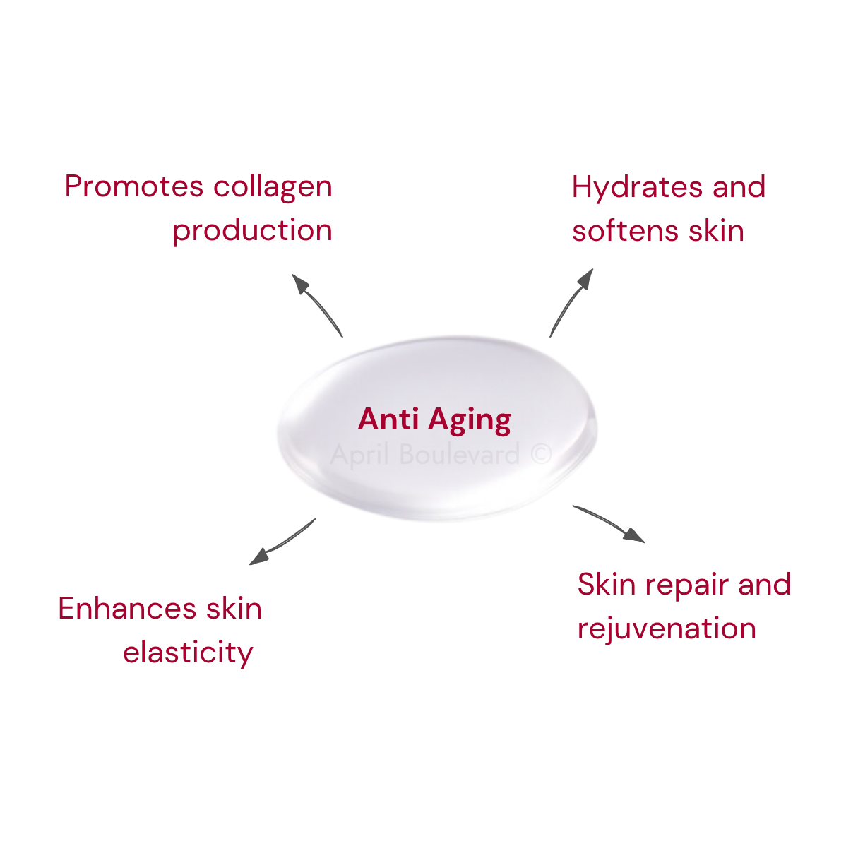Egg Shell Membrane