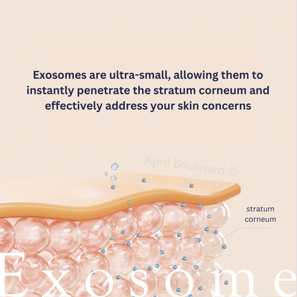 Japan gals - Exosome Sheet Mask (Houttuynia Cordata/ EX VC) 7 Sheets
