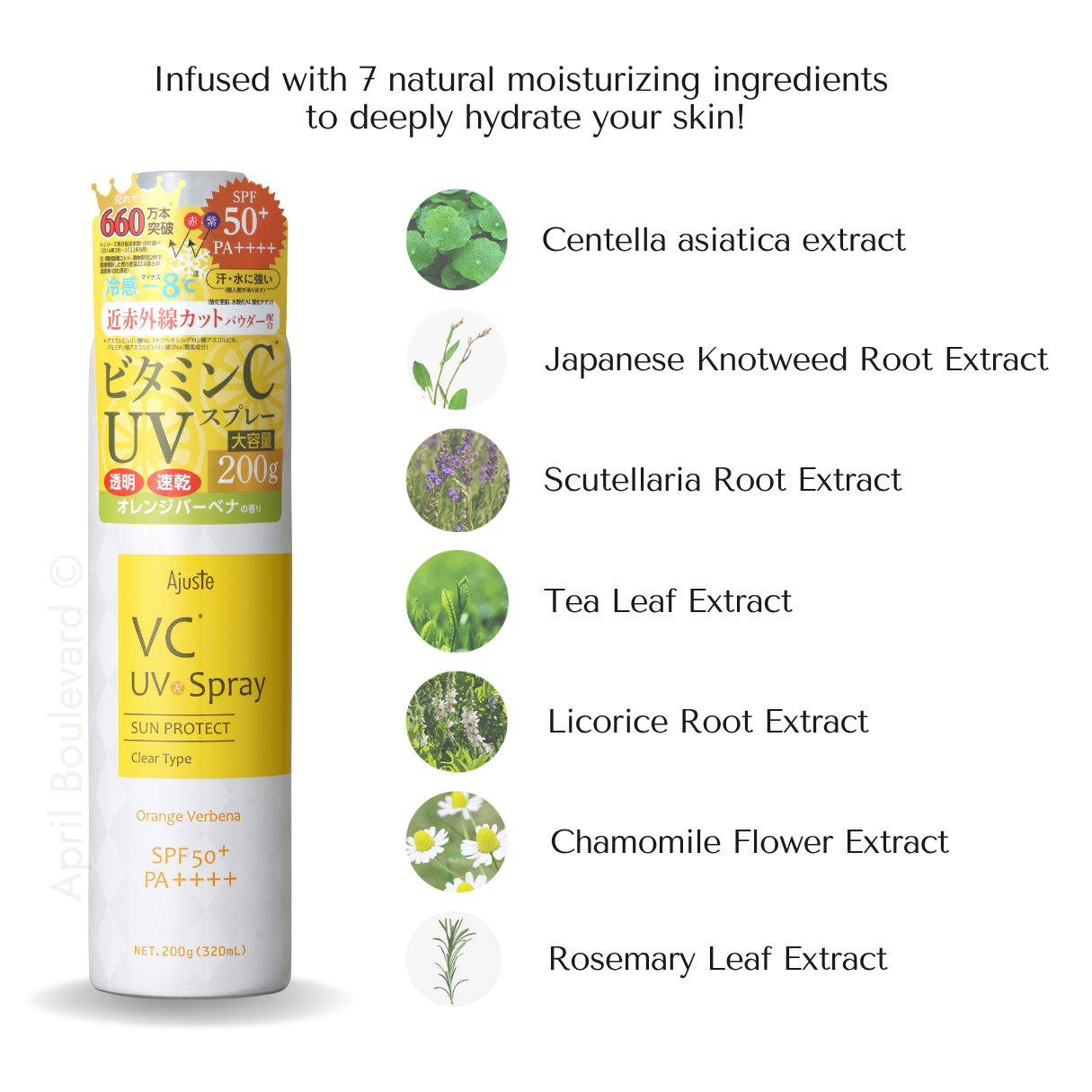 [VALUE CARTON PACK]  Ajuste UV Spray SPF50+ PA++++